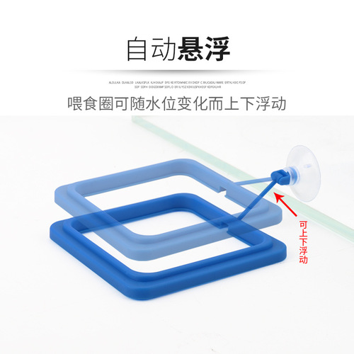 Fish food feeding circle, feeding circle, aquarium feeding circle, fish tank feeding circle, tropical fish, fish grain, fish feed feeder