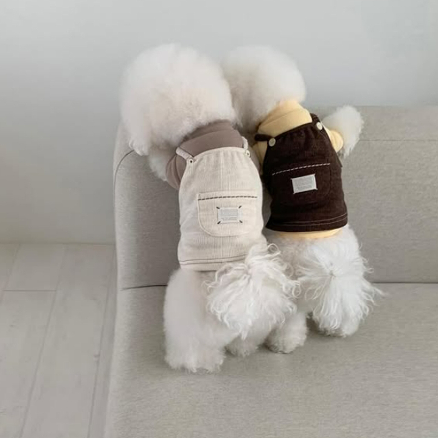 Nuevo otoño y invierno simple afortunado bolsillo de cachorro vestido de correa delgada mascota perro gato ropa de peluche image 4