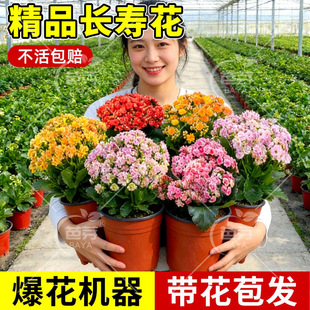 �ļ��L�ۻ������ذ��ش��玧�����_���׻���B�҃��̨����