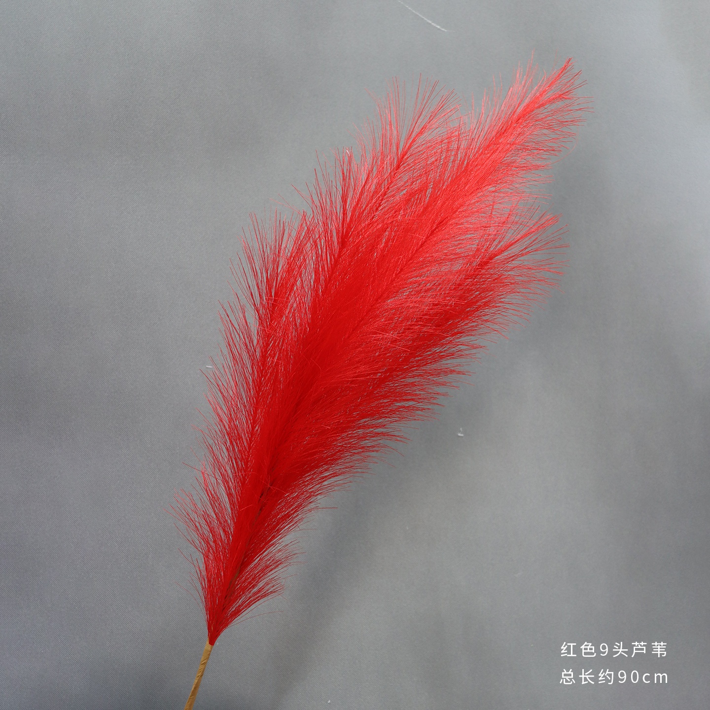 9개의 머리를 가진 붉은 갈대 10개