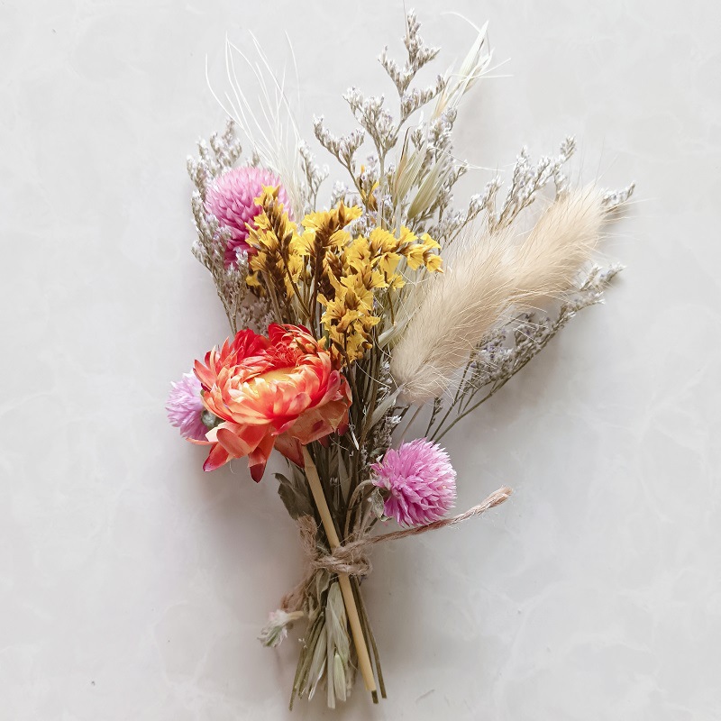 微信图片_202310081429481