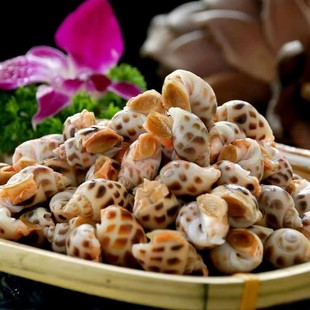 ��֭�������r�ك�����������r�|�L��������r���ؐ��������l