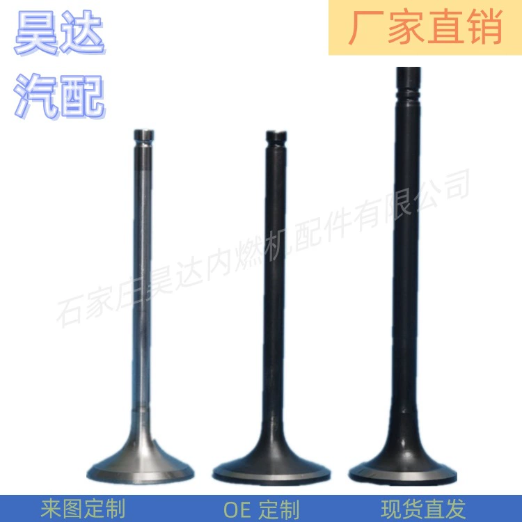 Модель производителя полный впускной и выпускной клапан 55240709 55195498 55219002 55240729