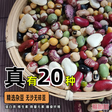 手选20种豆组合营养杂豆五谷杂粮健身粗粮素食豇豆子芸豆干净混合