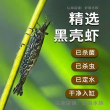 �ښ��r�����r���r�ŷ��B�~���B���坍���r�����������D����^�p�r