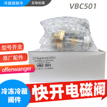 offenwanger_늴yVBC501 230V AC AV50VB50