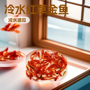 �t���\���~С�~���~�~�lؔ�~�؈D�~����~���~�^�p�~ˮ�嵭ˮ