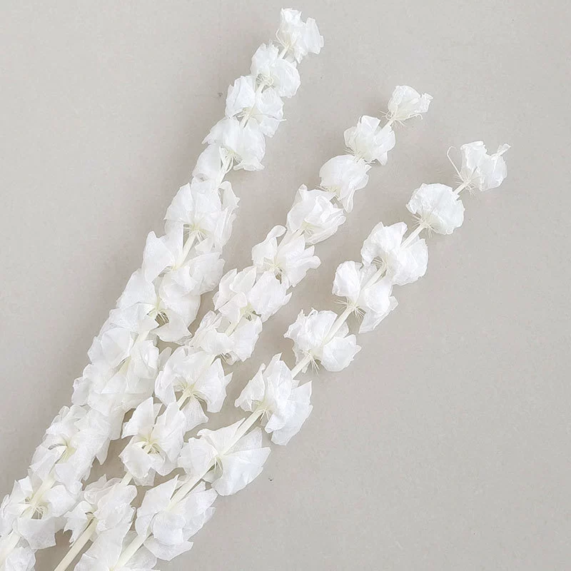 Wholesale eternal shell flower white ornaments flower arrangement shell flower photography props