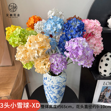 3�^Сѩ��-XD���滨���������c�Ҿ��b廨�Ƶ�Ӱ�ǔzӰ������