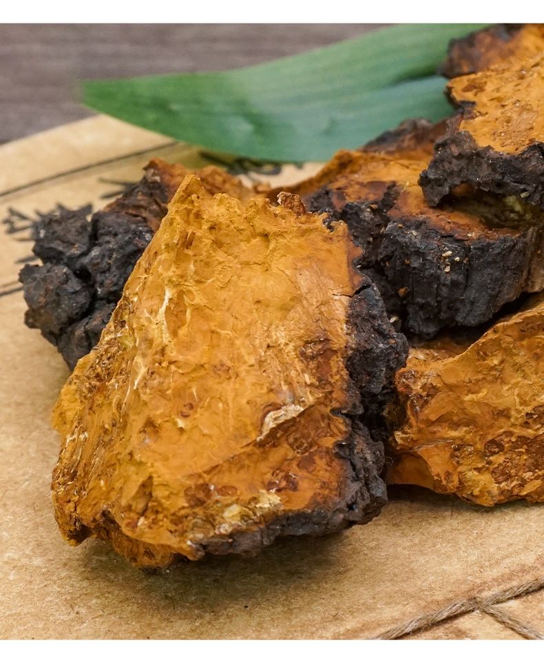Wild Chaga Mushroom Raw Chunks 40g Long White Mountain Inonotus obliquus Herbal Tea preparation