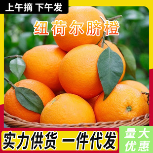 ���ڼ~�ɠ�Ě�����rˮ���������Fժ���������֭����9�����l���]