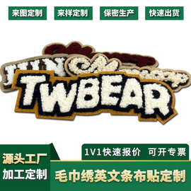 定制纯毛巾绣英文条字母系列刺绣布贴服装装饰辅料来样加工定做
