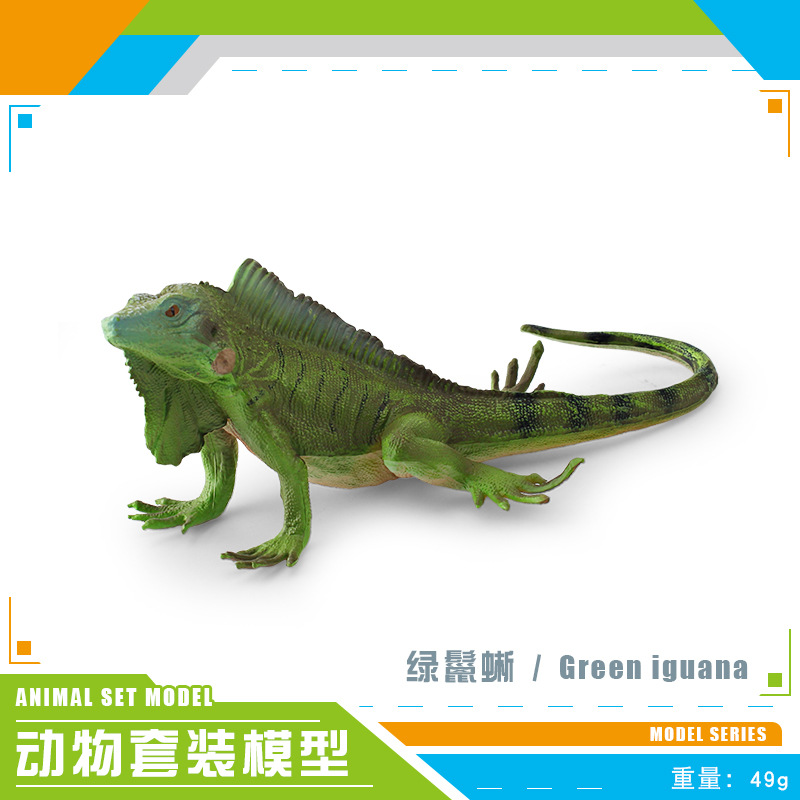Cross-border simulación bosque animal modelo infantil cognitivo blanco Phoenix verde iguana escorpión Python cuerno lagarto escritorio Decoración