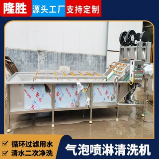 蔬菜喷淋清洗流水线 隆胜净菜加工设备 全自动果蔬气泡喷淋清洗机