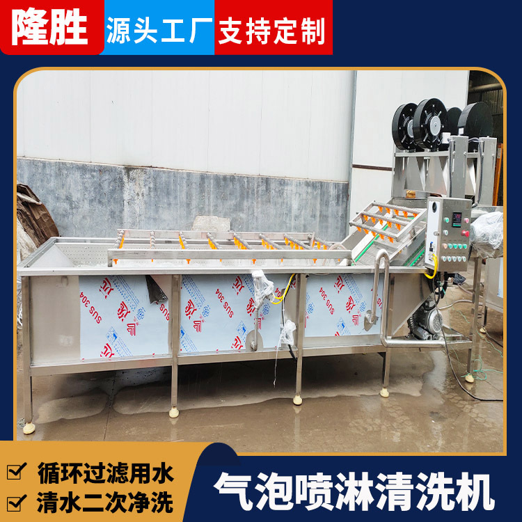 全自动蔬菜高压喷淋清洗机 蒜苗商用不锈钢洗菜机 蒜黄气泡清洗机
