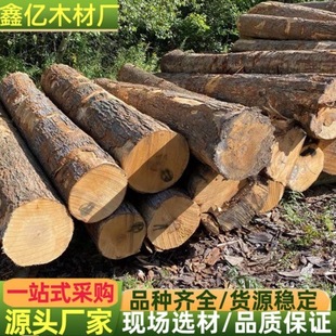 American red oak, white oak, cherry, black walnut, red poplar, boxwood, basswood hard maple soft maple