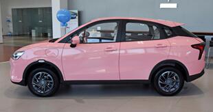 Nezha V Witch Edition Ручная аэрозольная краска Special Sakura Pink Автомобильная аэрозольная краска для ремонта царапин Краска-ручка.