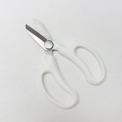 Brilliant pruning shears gardening flower branches flower florist flower arranging scissors pruning branches bonsai flowers scissors