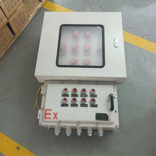 防爆照明配电箱BXM(D)53-bt4动力配电箱CT6挂式控制箱检修插座箱