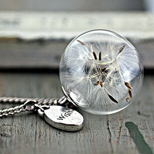 Dandelion WISH ����͹�������r���ѹ�Ӣ�N�Ӳ�����