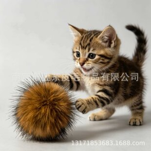 �羳�����º���ë����ë��؈��؈������˽␞Сë��ë�q��5-9cm