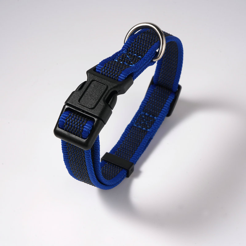 다크 블루 칼라