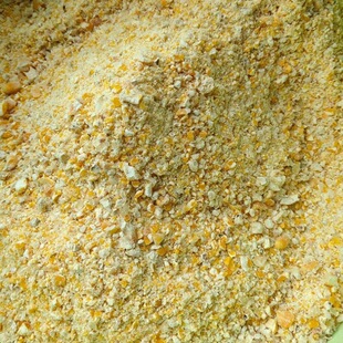 ���������.����������������������ι�u���Z�g��������~��C