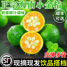 ����С���5��С�������r������Ƥ������ˮ���������̲��