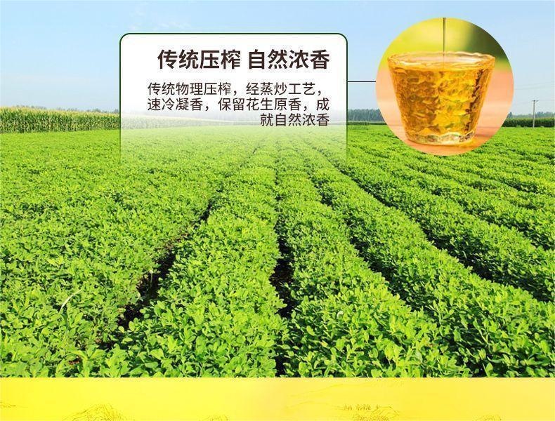 98212f0b-bad8-4bcf-b061-fcd580c3b77c.jpe