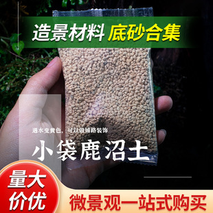 ���ճ��������������̦�\΢���^�Nֲ���I�B������Ʒ����̿��