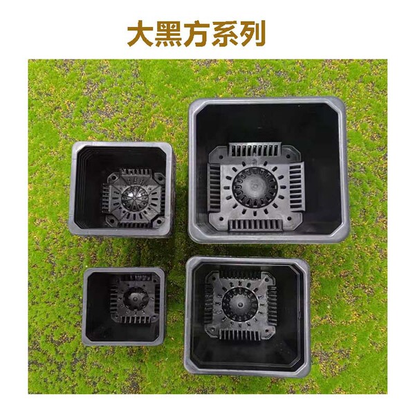 white black square flowerpot flower-shaped