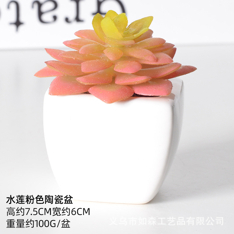 Simulación de cerámica bonsai de carne doméstica decoración de escritorio de oficina plantación verde maceta props de disparo maceta combinada artificial image 28