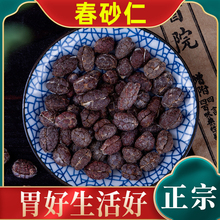 春砂仁中药材正宗阳春春砂仁粉特产100g野生沙仁果茶酒养胃煲汤蒸