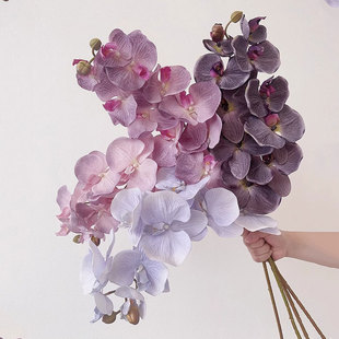 �����m���滨����10�^�ָо껨�͏d�������üٻ����滨�߼��б���