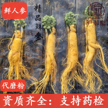 保鲜参长白山人参东北特产泡酒药材袋装参煲汤白皮参林下参地摊