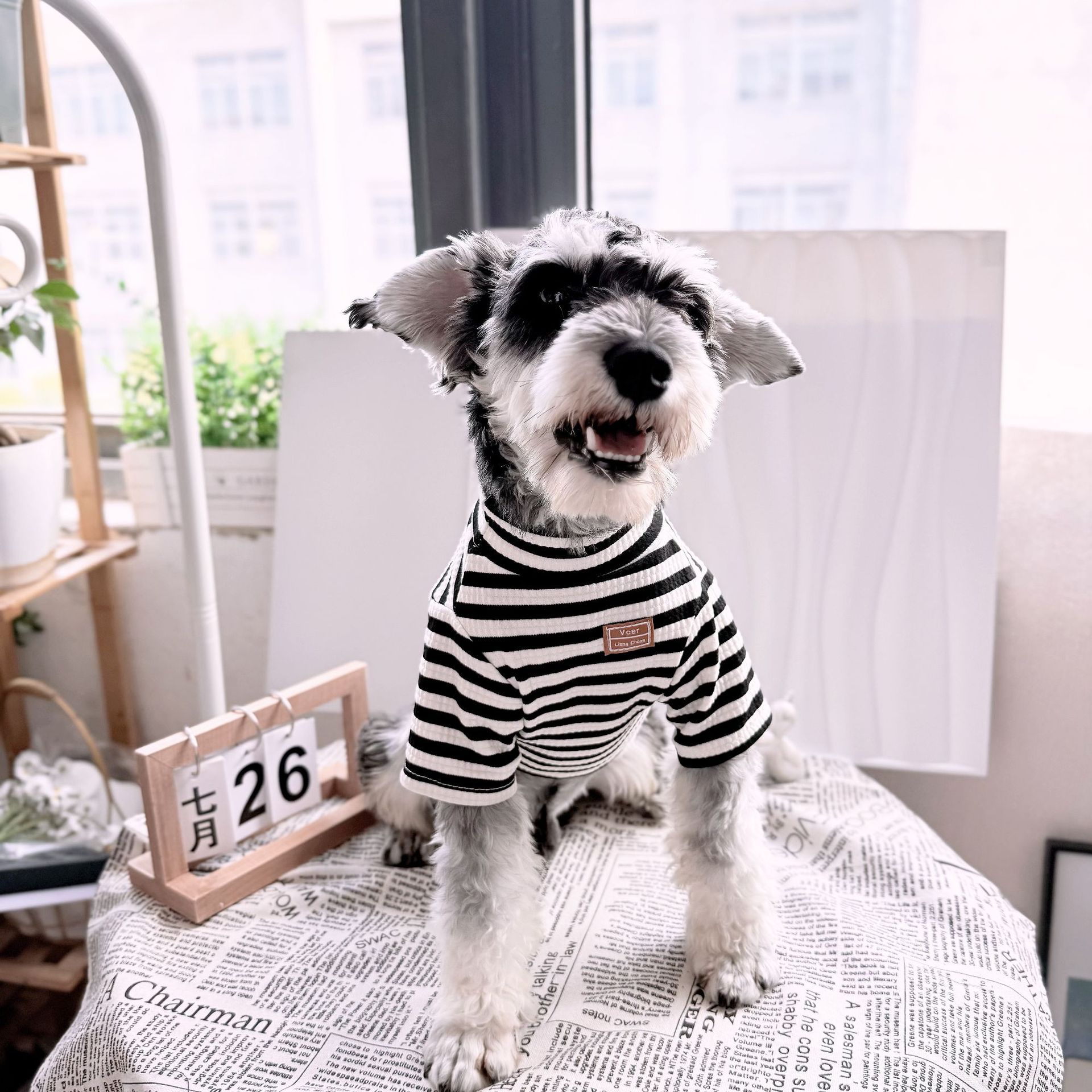 강아지옷, 봄, 가을 하의 셔츠, 슈나우저 테디 비숑 시바견 포메라니안 고양이 두발옷 스트라이프 이너웨어