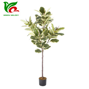 ���Wֲ���߅��� ���z�ſ͏d�پGֲ����Ƥ�������쾰�bGֲ