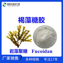 �������z98%������ȡ��������������Fucoidan��������}�����