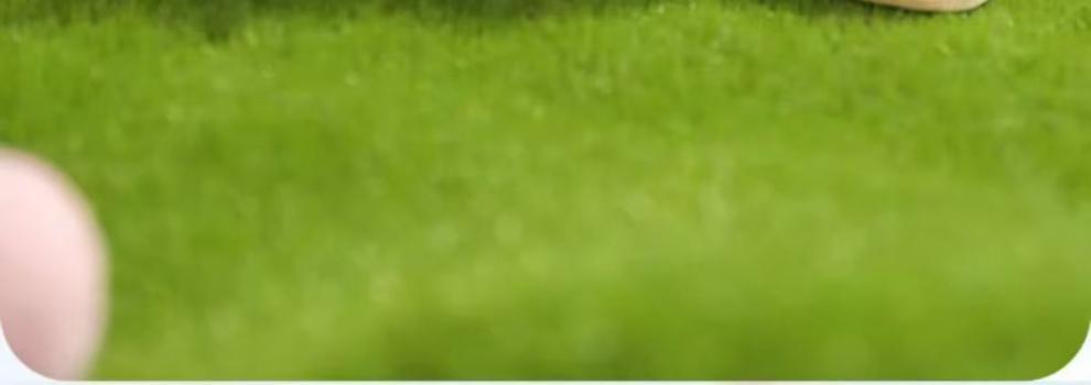 95a389c5-4767-4ba8-8cc5-38984b55e4ce.jpe