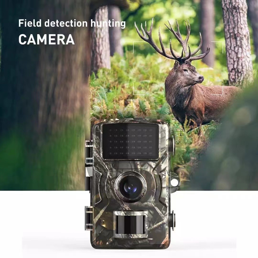 Cámara al aire libre HD impermeable IP66 sensor infrarrojo cámara de vigilancia cámara de seguimiento cámara animal