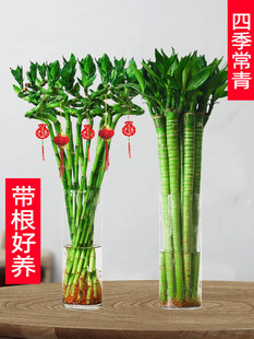 ˮ��ֲ�︻�F���D�\�����҃ȿ͏d�Gֲ�����_�\���Ĳ����񹝹��ߟo