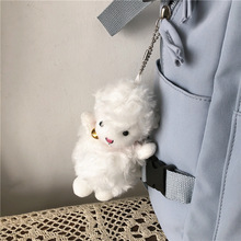 ��������ɐ����tС�������ͨС��������Në�q��ż���В��