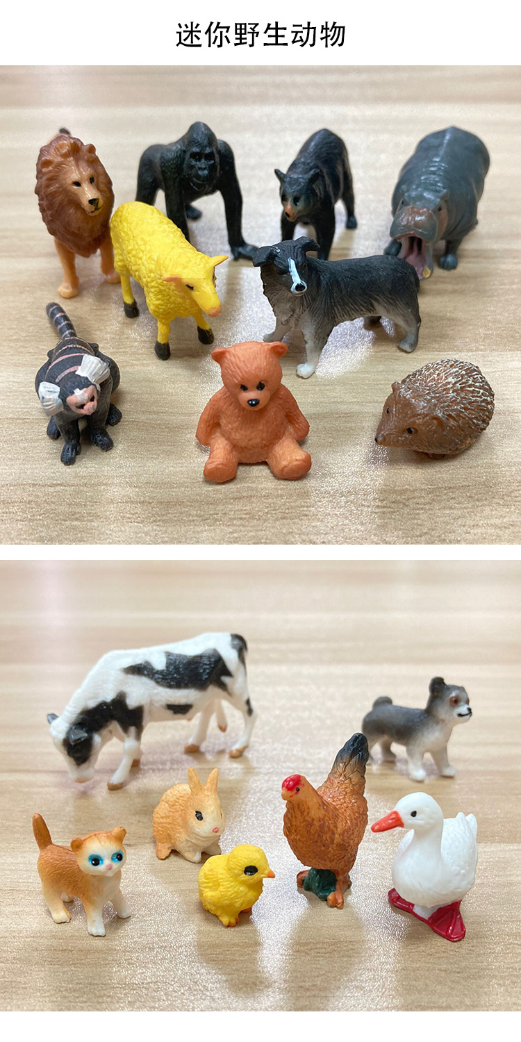 迷你动物详情图2