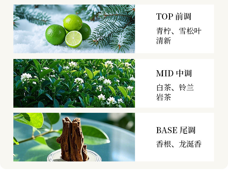 High color value star car perfume 2025 new car home without fire aromatherapy ornaments tremble with fragrance liquid