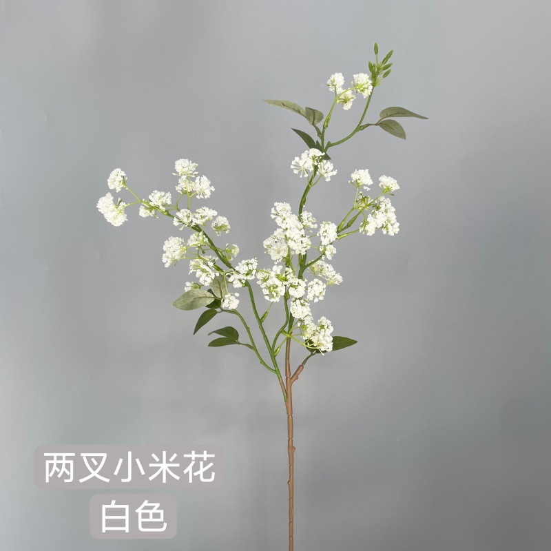 샤오미화