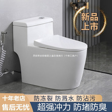 家用马桶陶瓷抽水虹吸式小户型节水防臭静音防冻裂坐便器