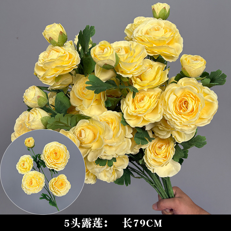 루리안 5개