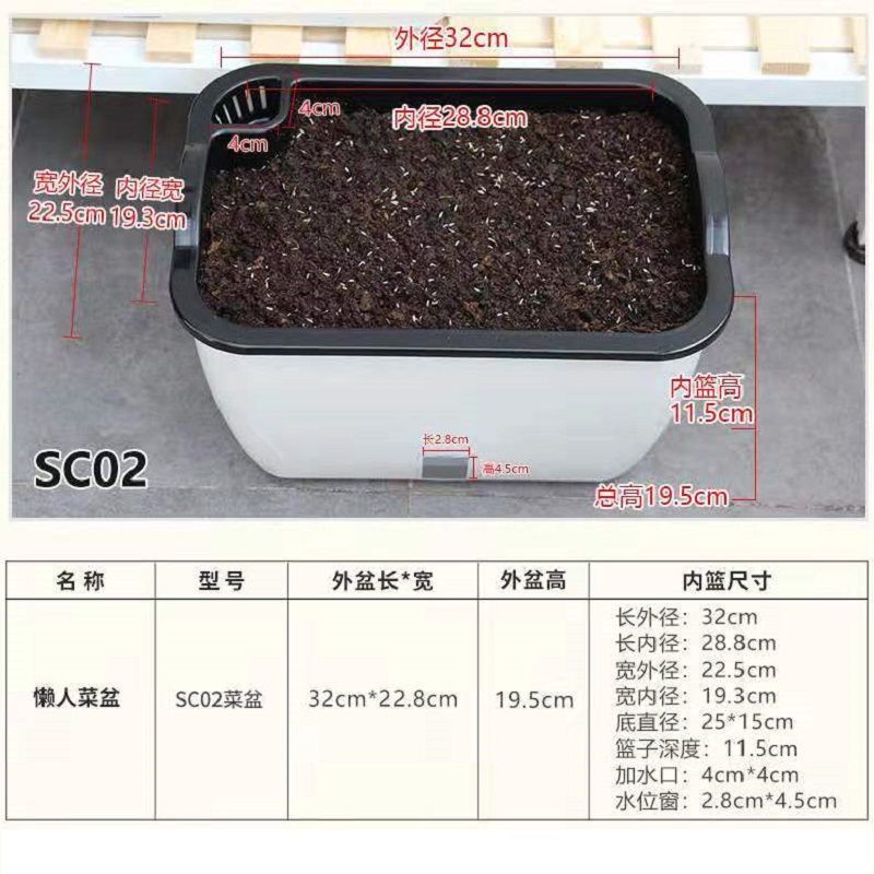 White Square basin SCO2