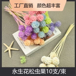 �û����������x��10֧/������diy�ֹ������ϸɻ���������L܇��