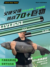 初鱼鱼杆碳素鱼竿手杆超硬28调19调台钓竿轻量大物鲢鳙钓鱼竿